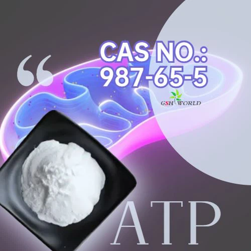 Adenosine 5'-triphosphate (sodium Salt)