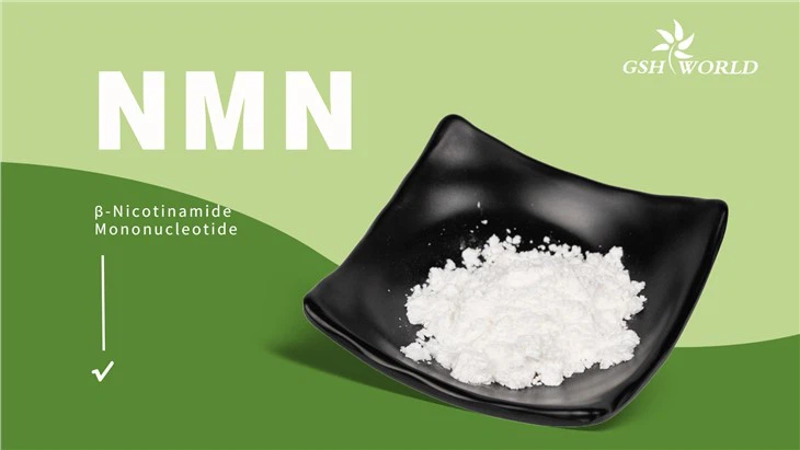 Bulk Powder Nicotinamide Mononucleotide