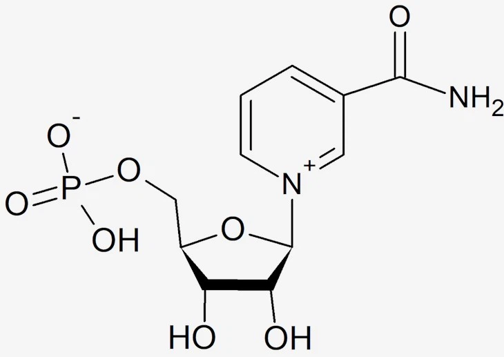 Factory Supply Anti Aging NMN Supplements Powder 99% OEM NMN Capsules suppliers & manufacturers in China