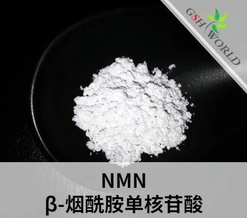 Factory Supply Anti Aging NMN Supplements Powder 99% OEM NMN Capsules