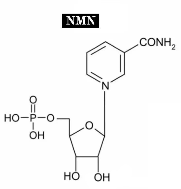 10 Truths about NMN