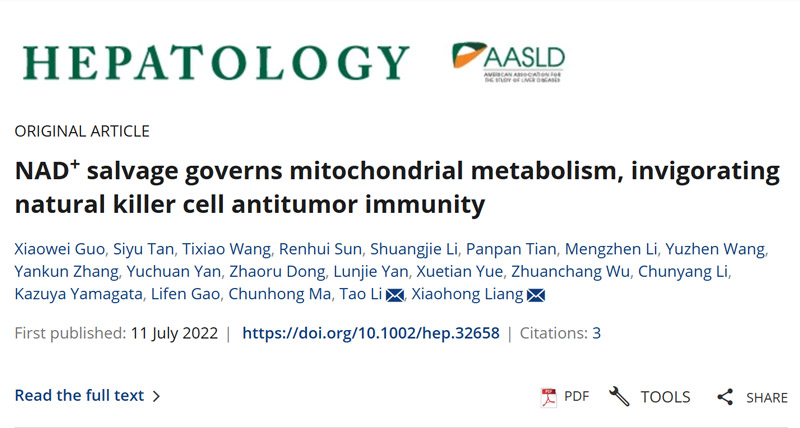 NAD+ salvage governs mitochondrial metabolism, invigorating natural killer cell antitumor immunity