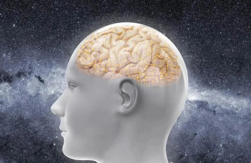 NMN activates Sirtuins to counteract brain aging