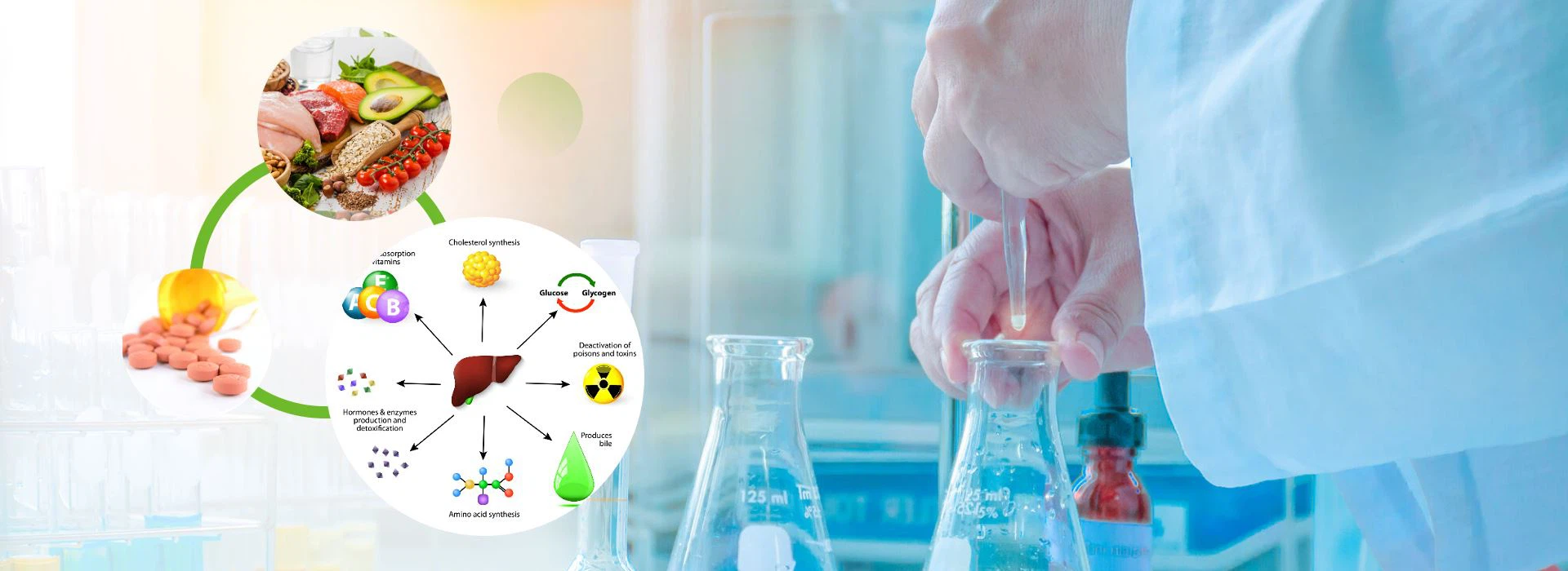 Multiple functions of β-NMN - Knowledge