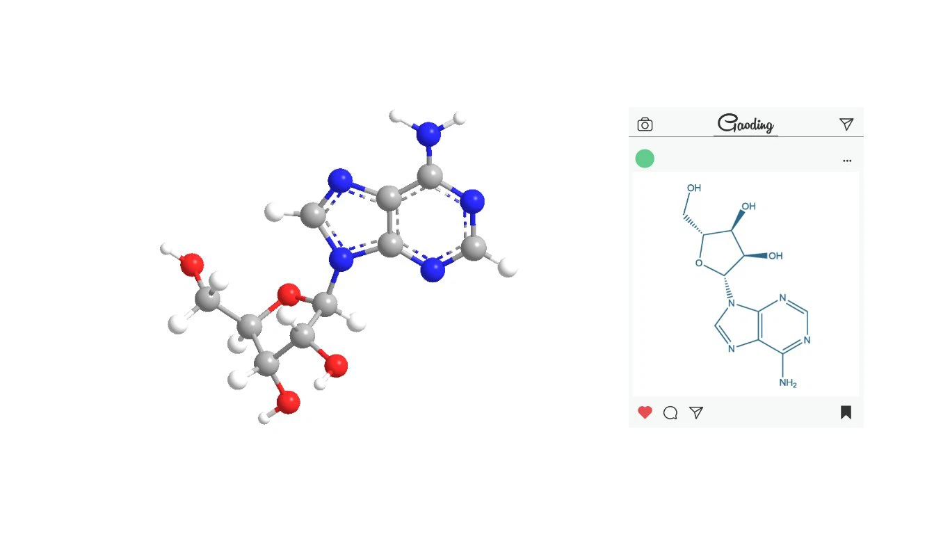 Adenosine