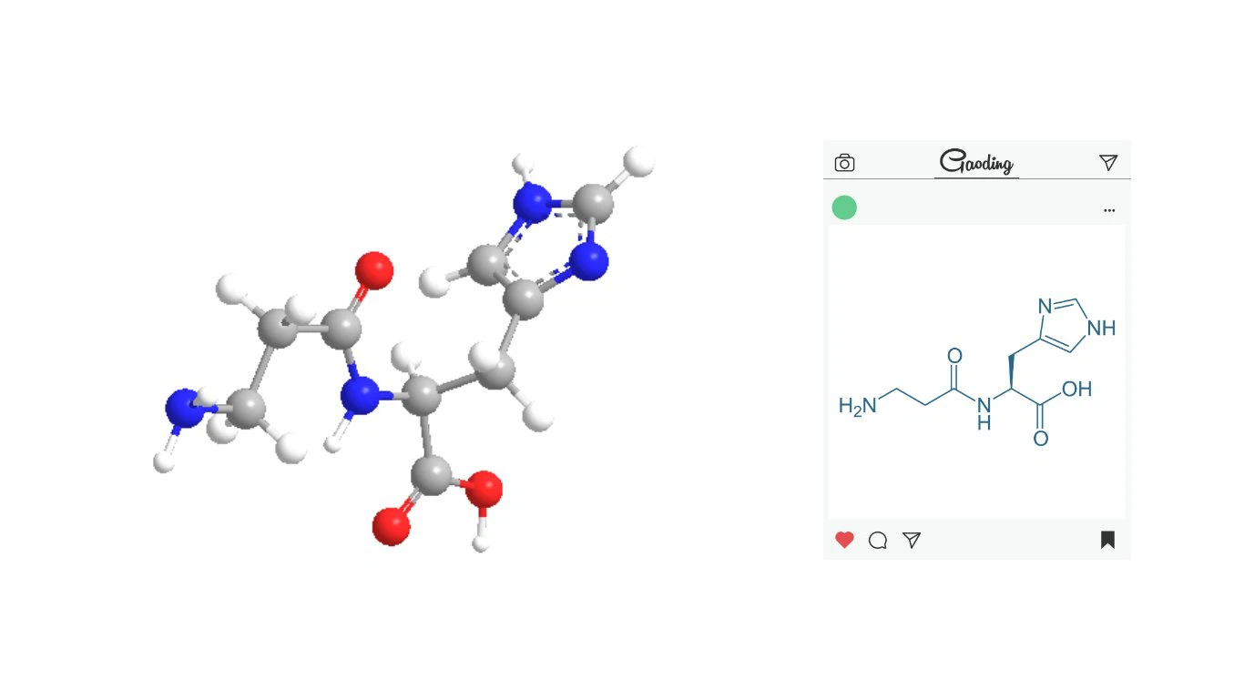 L-carnosine