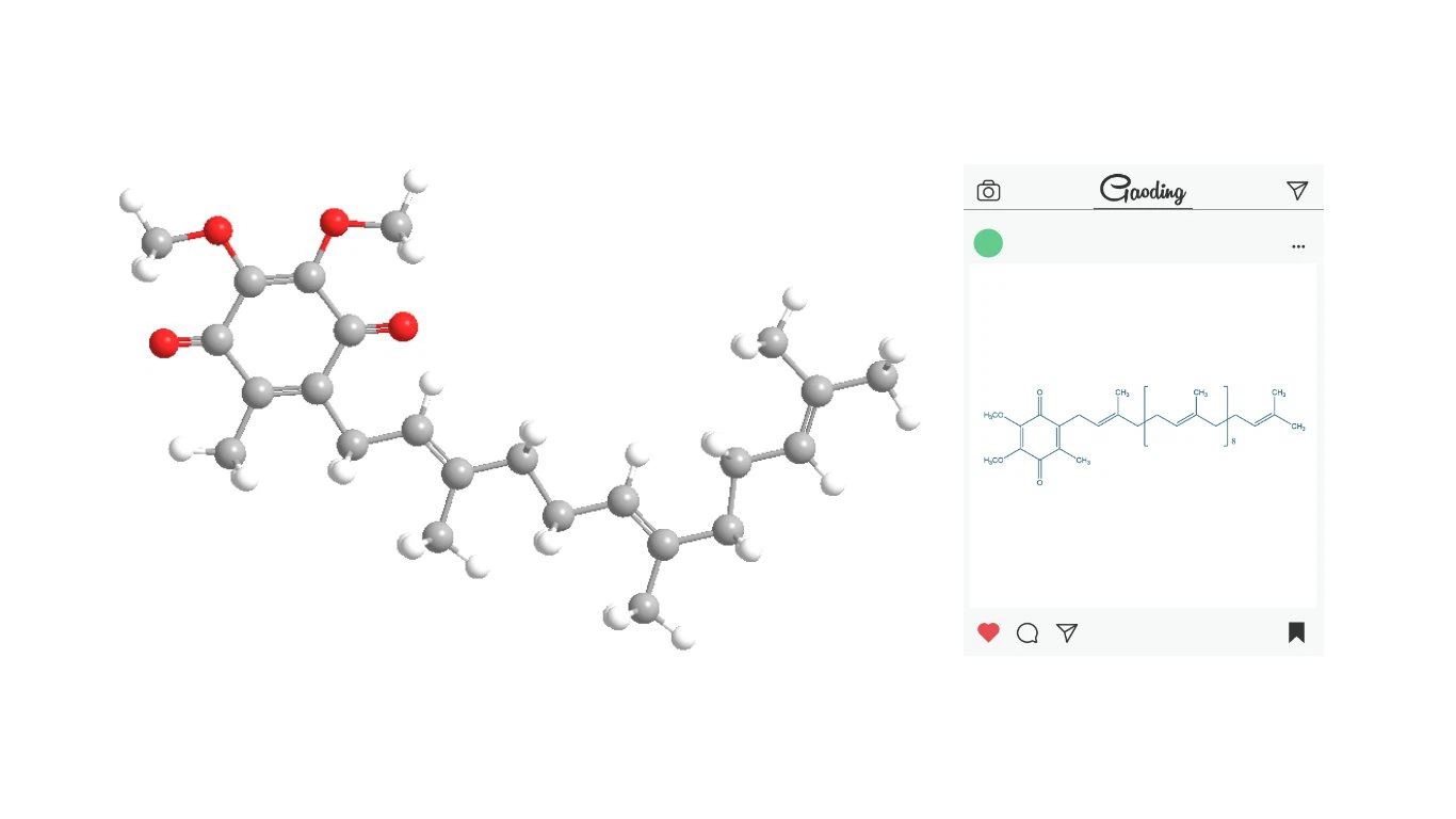 Coenzyme Q10