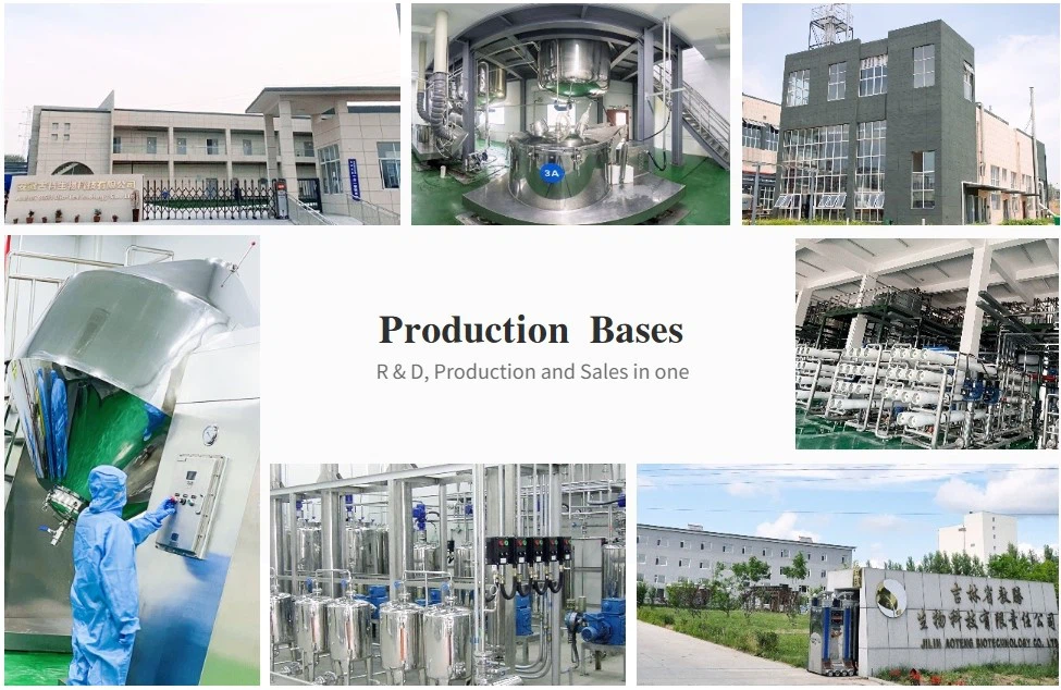 Production Bases, R & D, Production and Sales in one