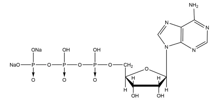 Product Introduction - ATP