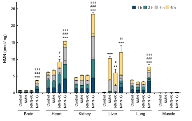 Distribution of nicotinamide mononucleotide (NMN) in different tissues of four groups of mice