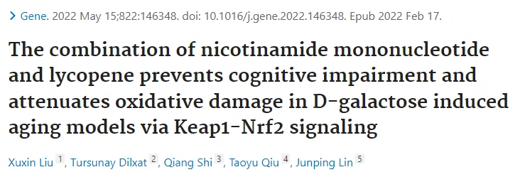 The combination of nicotinamide mononucleotideand lycopene prevents cognitive impairment andattenuates oxidative damage in D-galactose inducedaging models via Keap1-Nrf2 signaling