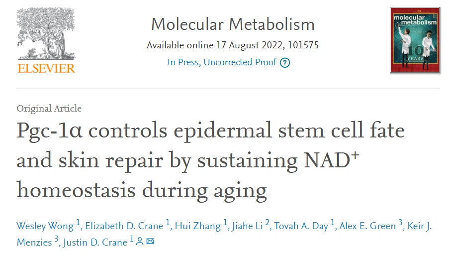 Pgc-la controls epidermal stem cell fateand skin repair by sustaining NADhomeostasis during aging