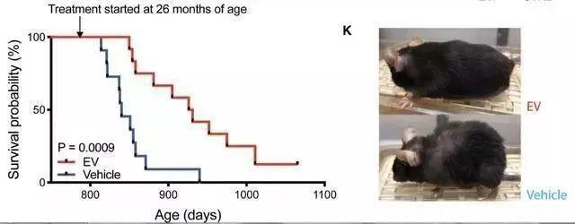 Treatment started at 26 months of age