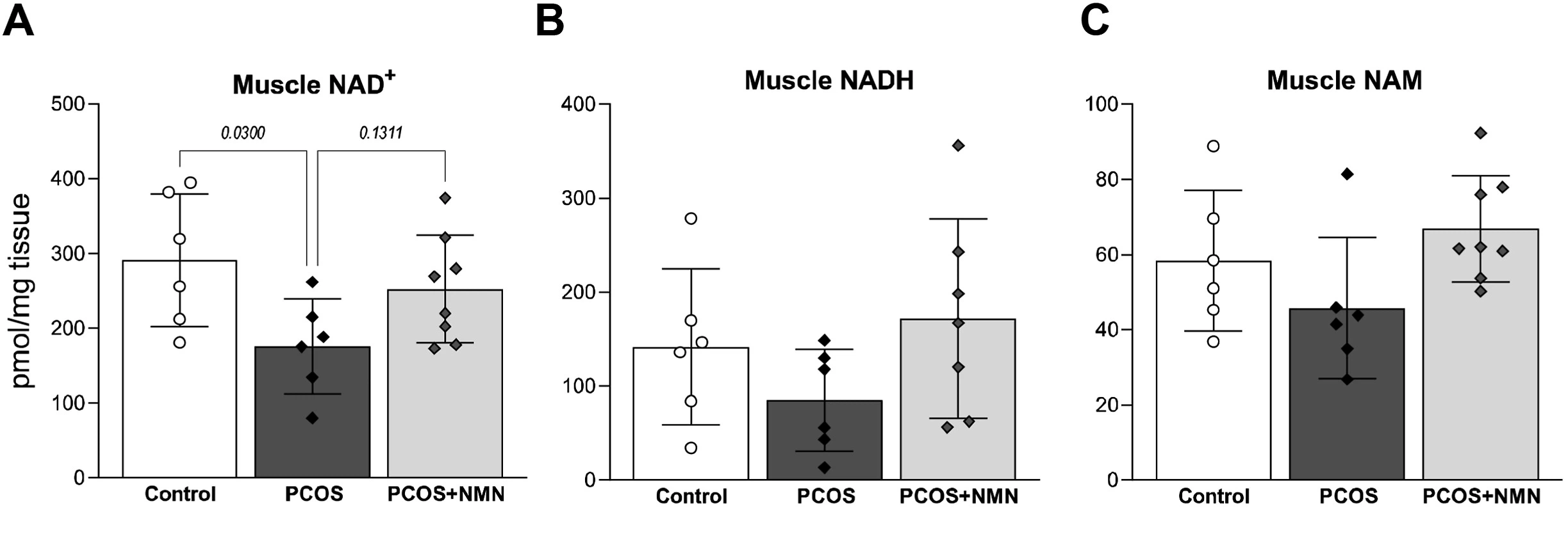 NMN restores muscle NAD+ levels in PCOS mice