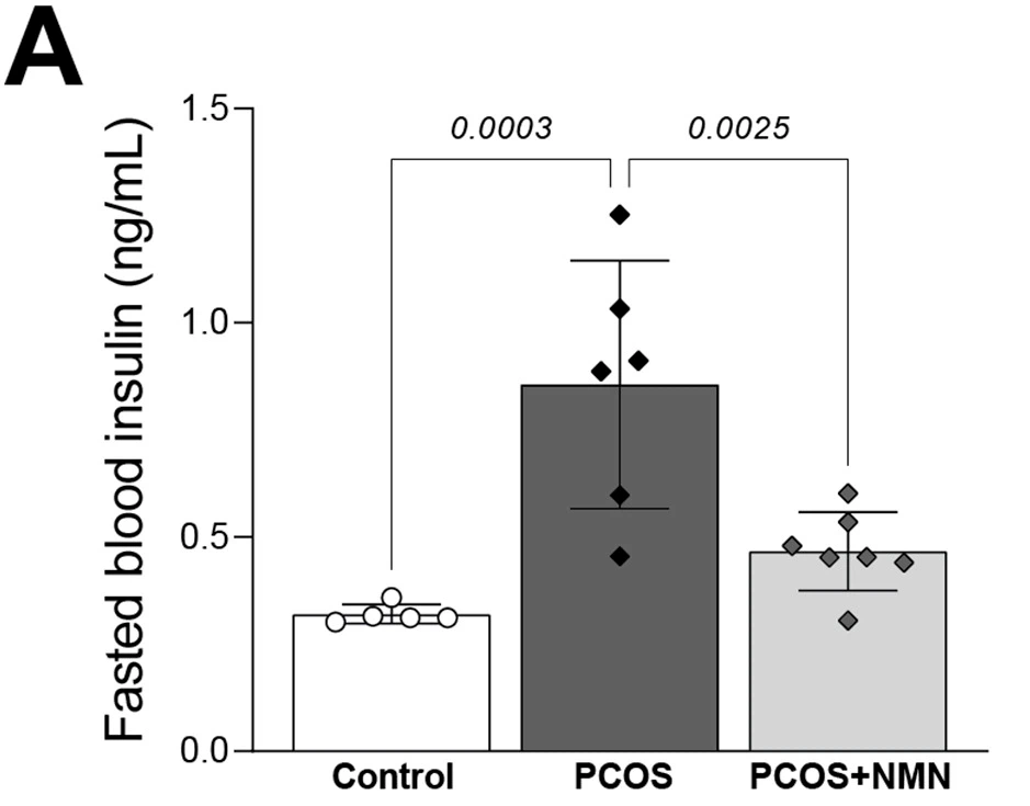 NMN restores fasting insulin levels in PCOS mice