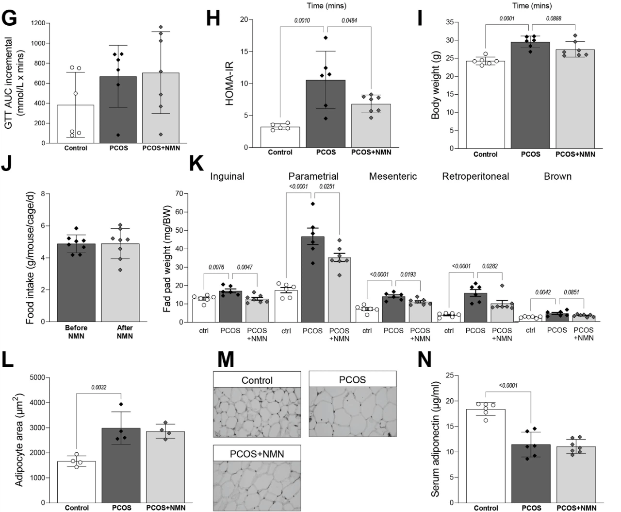 NMN can improve DHT-induced fat metabolism disorder and obesity