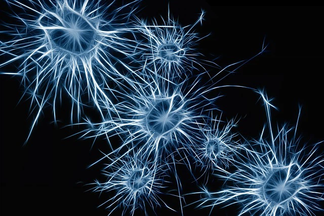 NMN Improves Cellular Senescence And Inflammation Induced By Sodium Iodate in RPE
