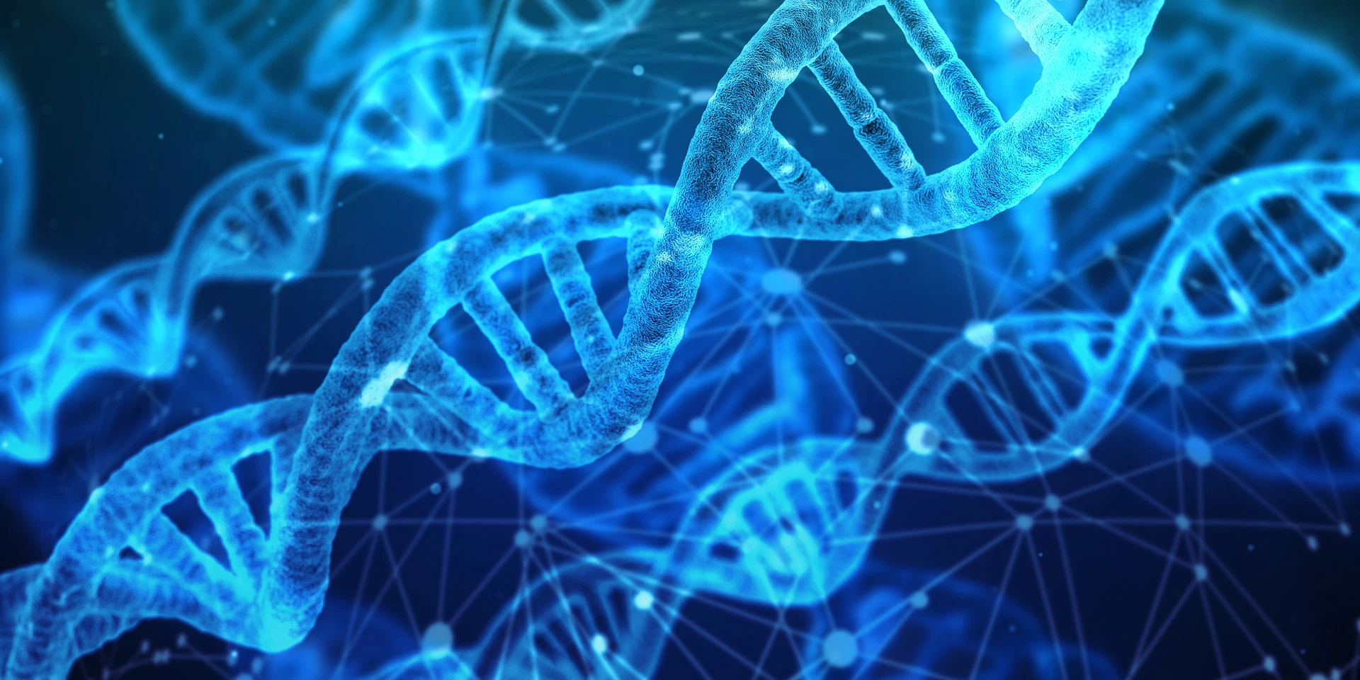 NMN Can Effectively Inhibit Allergic Reactions