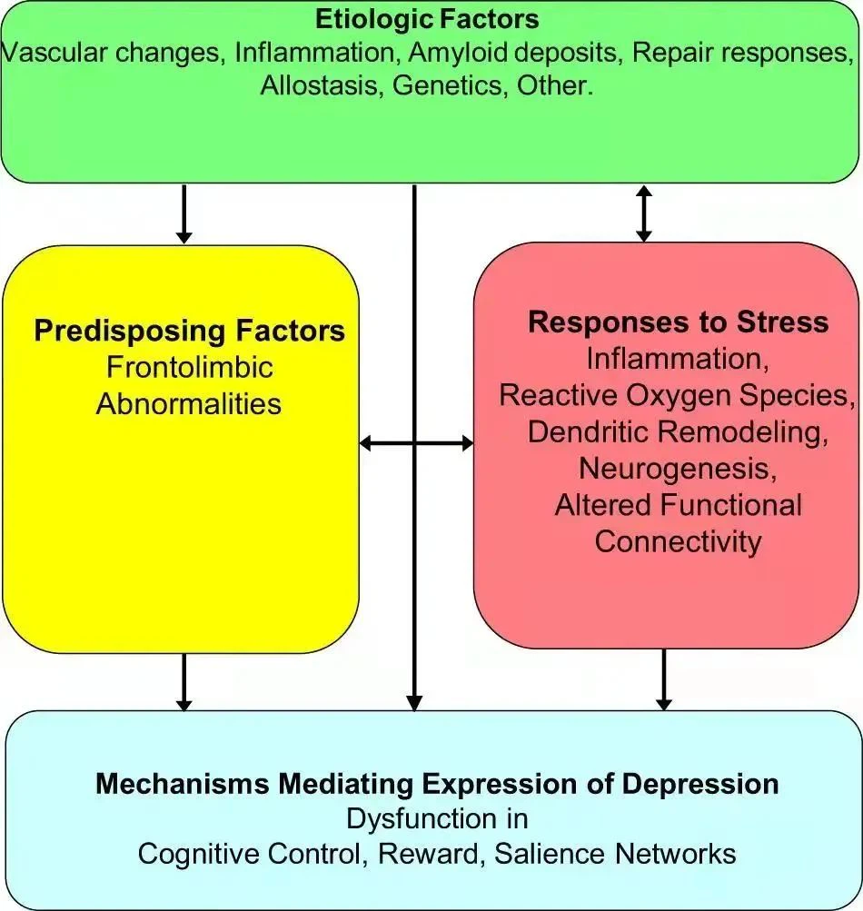 NMN May Improve Depression