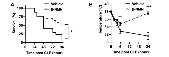Figure: There are significant differences in the survival rate (A) and body temperature (B) of mice in the NMN group and the control group