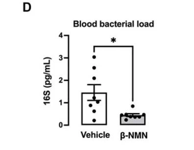 Figure: Bacterial load was significantly reduced in the NMN group
