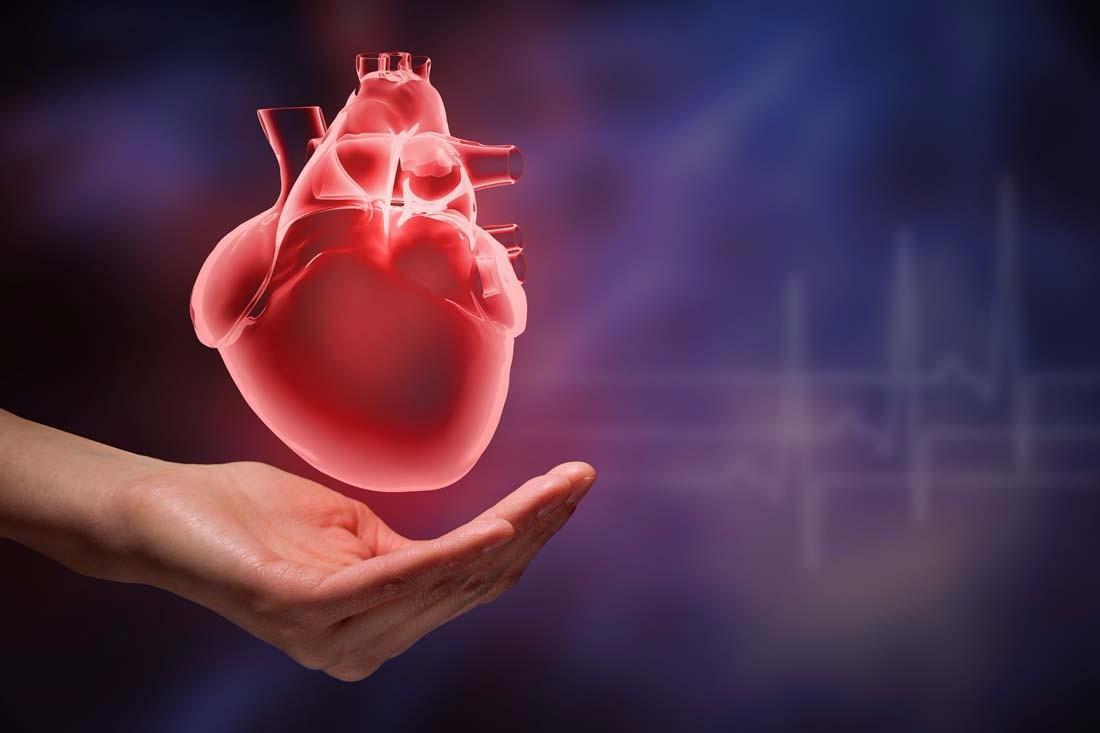 2022 NMN Research Year-end Inventory: Reduce New Coronavirus Infection, Protect Cardiovascular Health, And Reduce Acute Lung Injury