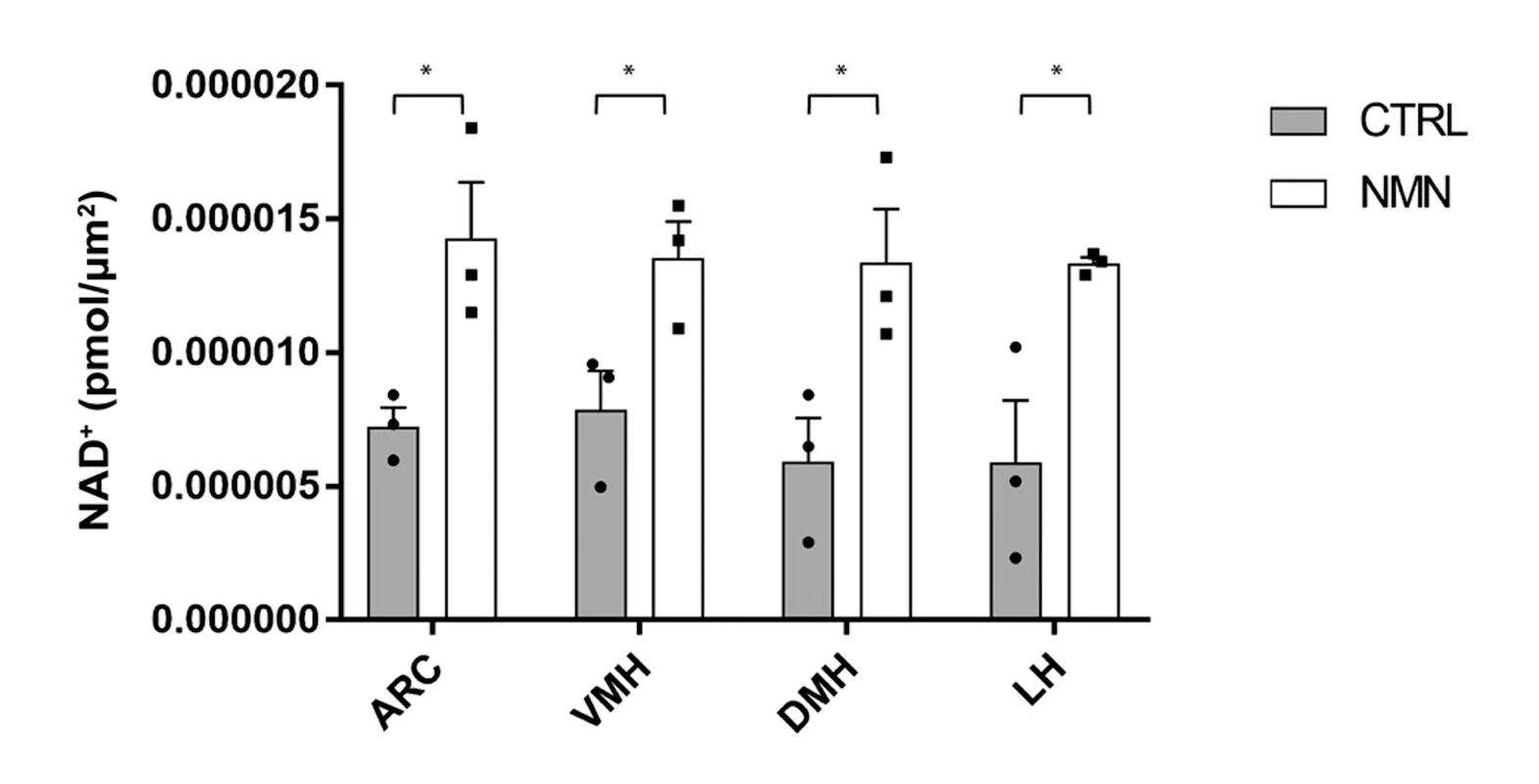 NMN significantly elevates NAD+ levels in the hypothalamus of aged mice