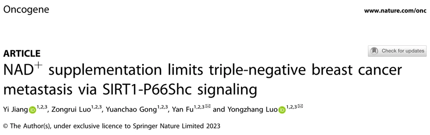 NAD supplementation limits triple-negative breast cancermetastasis via SIRT1-P66Shc signaling