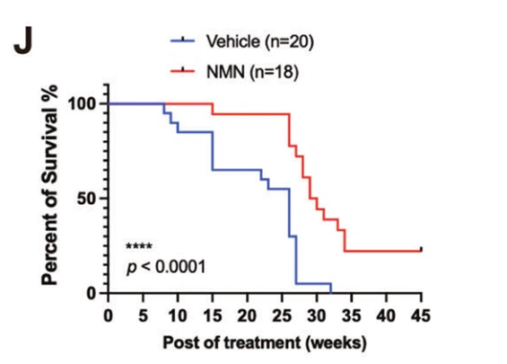 Figure 4: Survival rate of mice in NMN group and control group