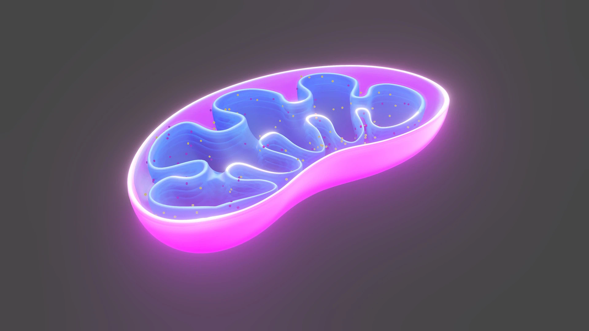 NMN found to improve mitochondrial function in age-related diseases