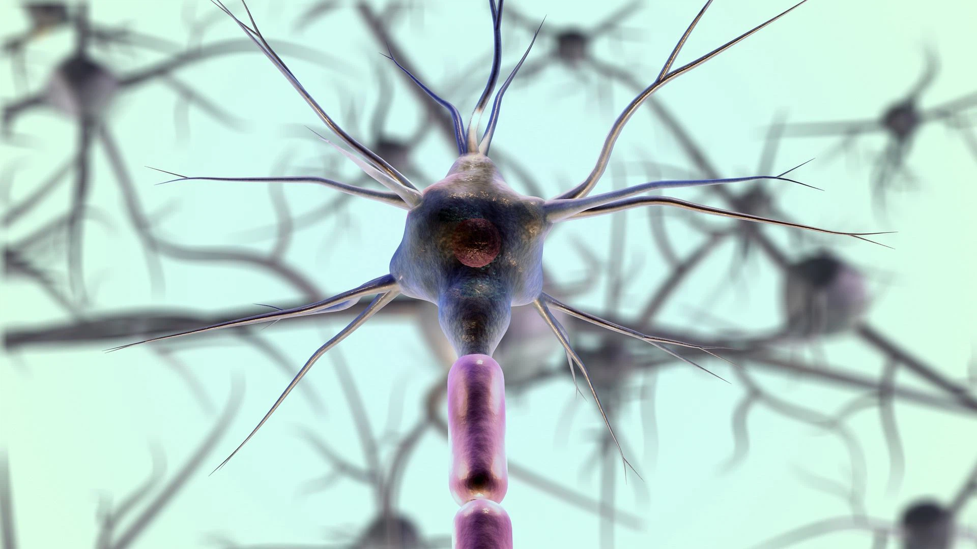 NMN found to improve mitochondrial function in age-related diseases