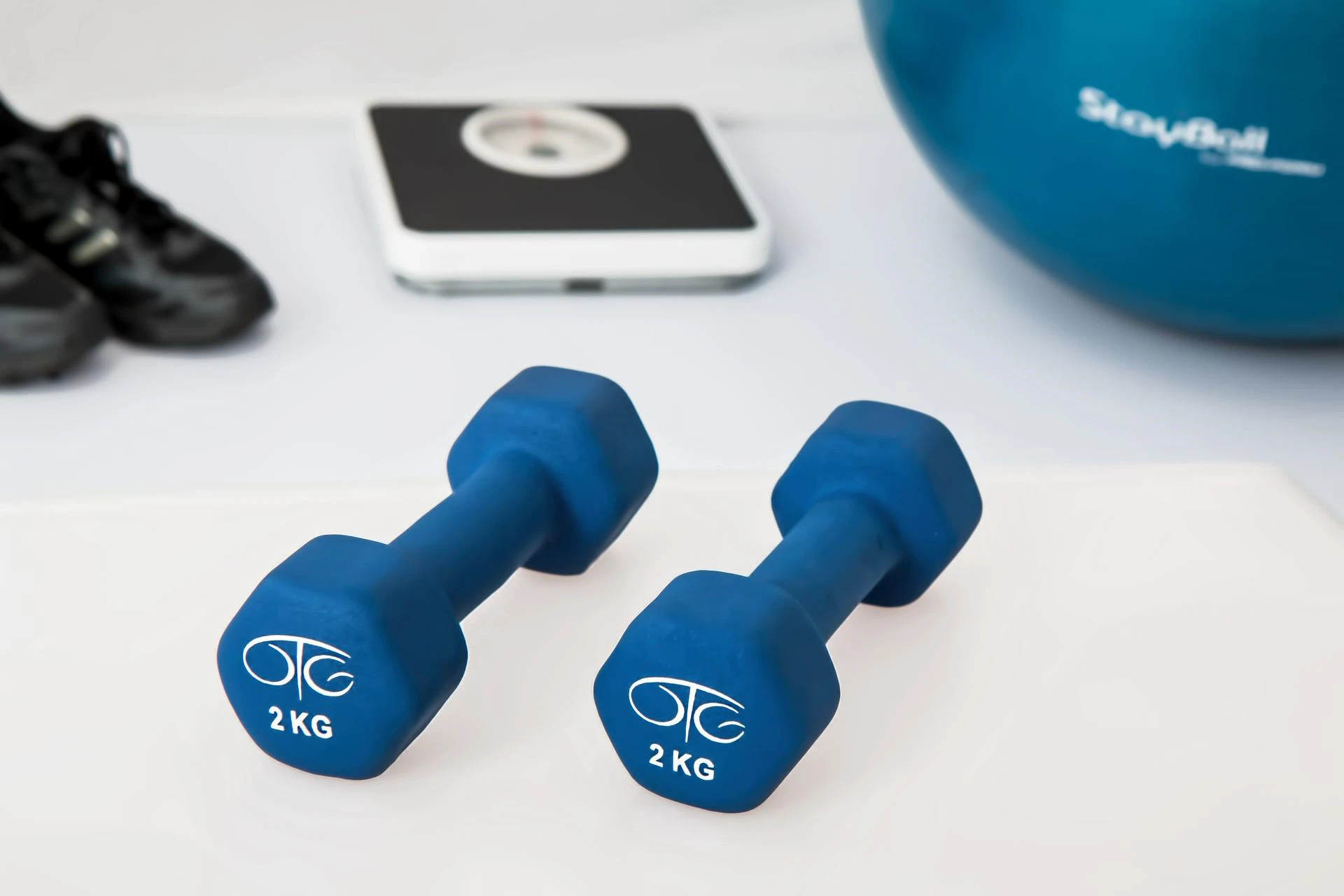 The therapeutic effect of NMN on obesity
