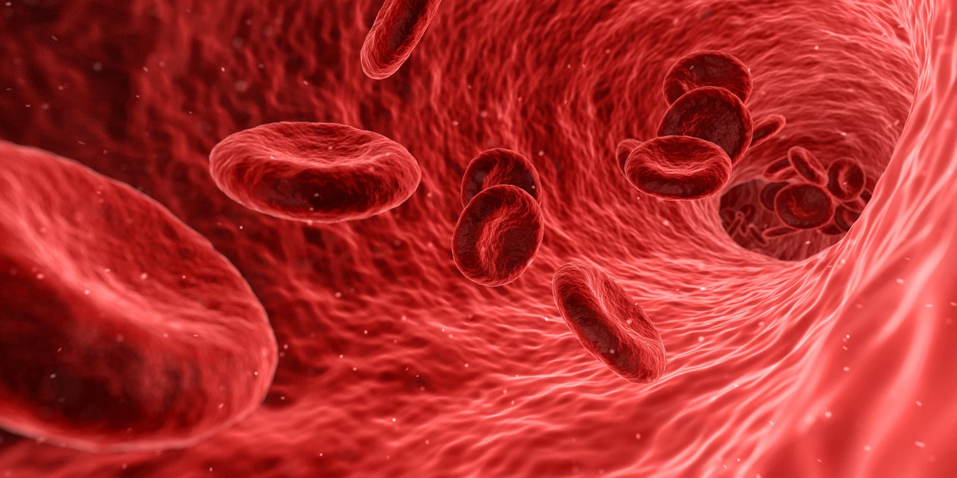 Therapeutic effect of NMN on vascular disorders
