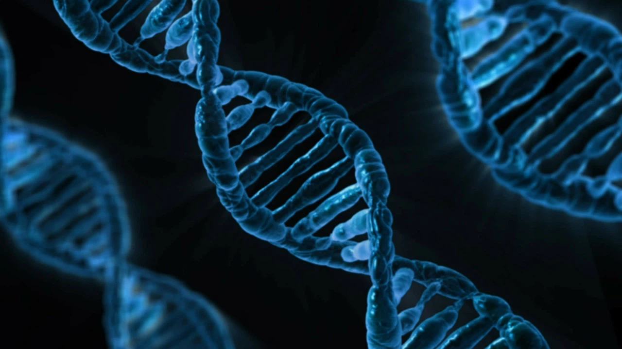 Glutathione is involved in the metabolism of reactive oxygen species in stem cells