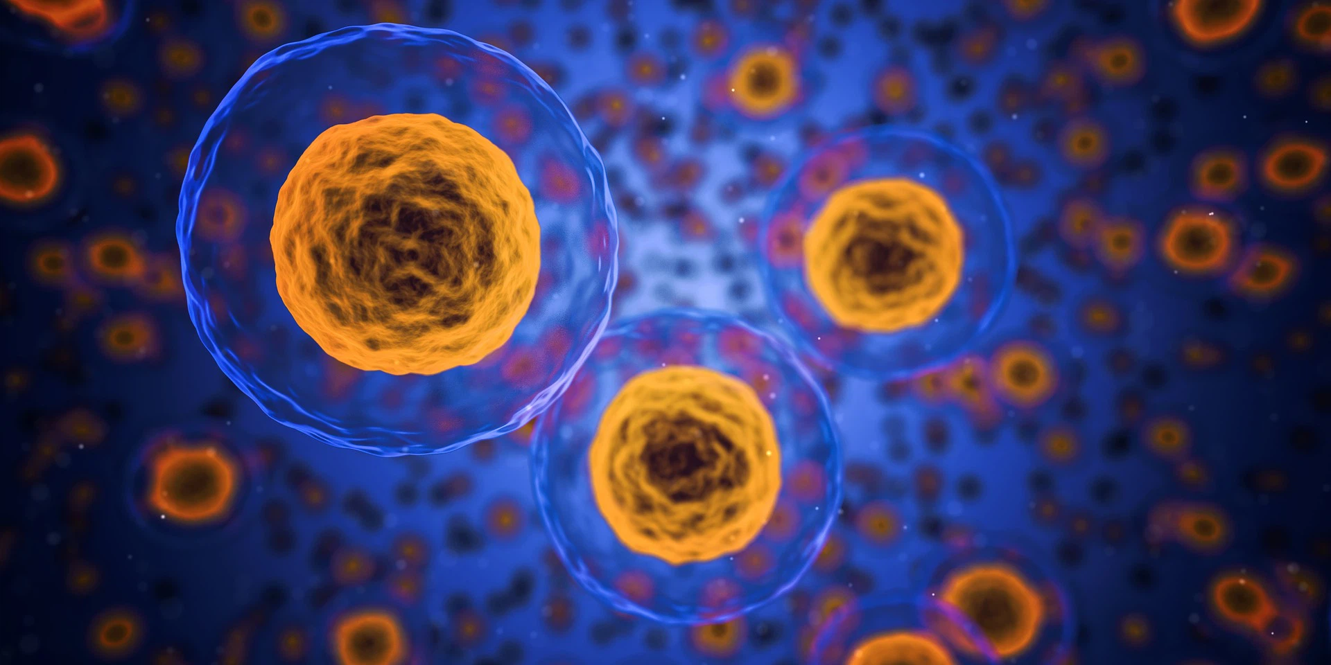 Can glutathione prevent stem cell damage?