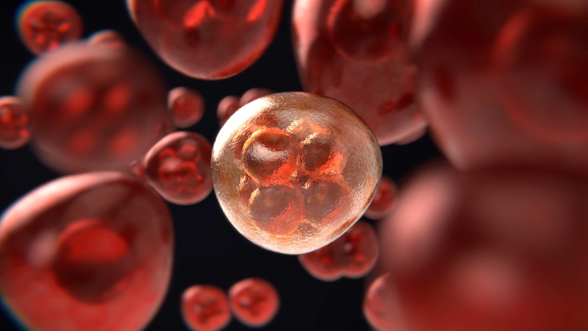 Reduced glutathione is closely related to the immune regulation function of stem cells.