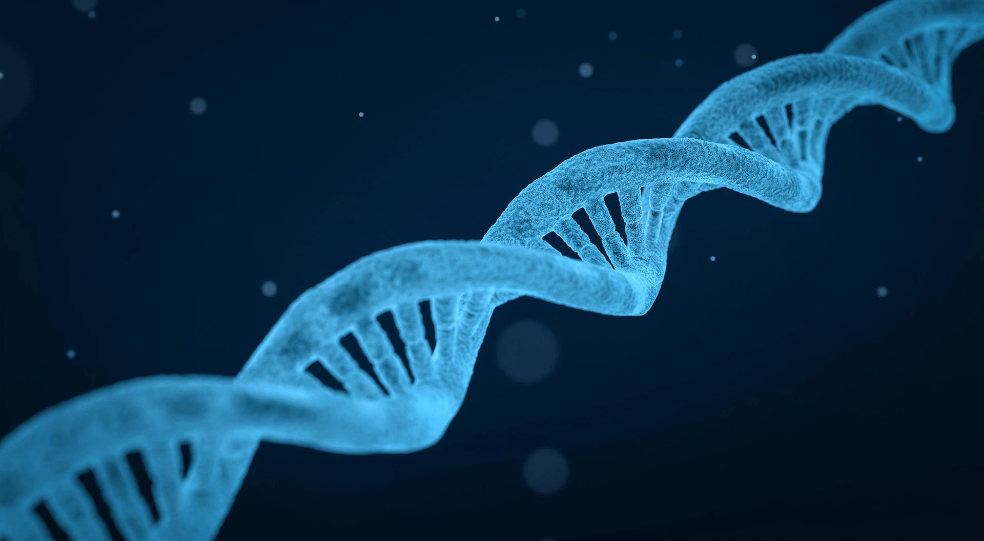 Glutathione - a'barometer' in the differentiation process of stem cells
