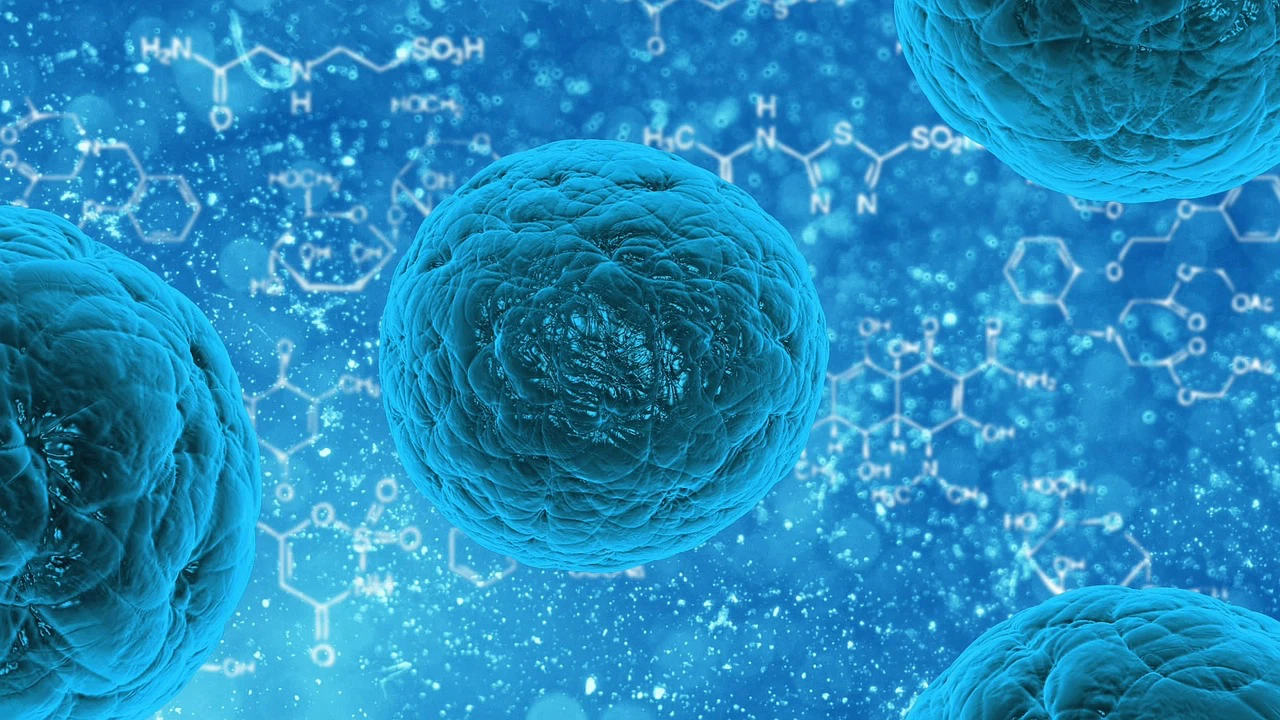 The role of glutathione in cancer stem cells