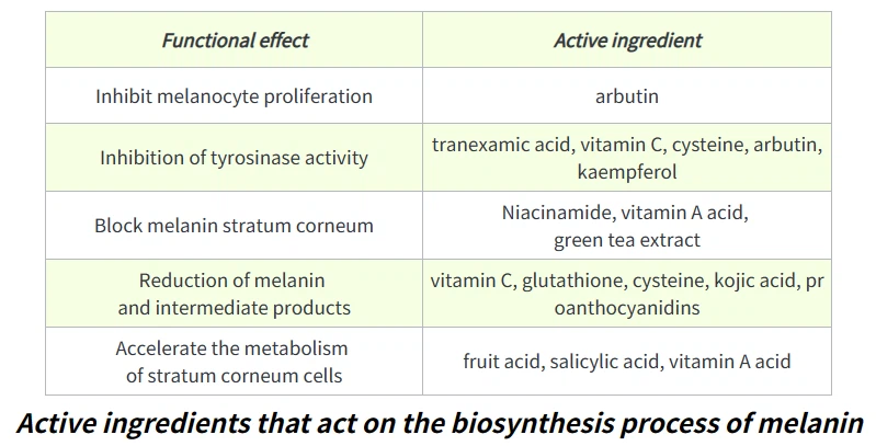 Active ingredients that act on the biosynthesis process of melanin