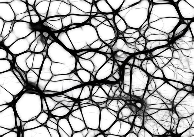 neurons-g45eda8af3_640.jpg