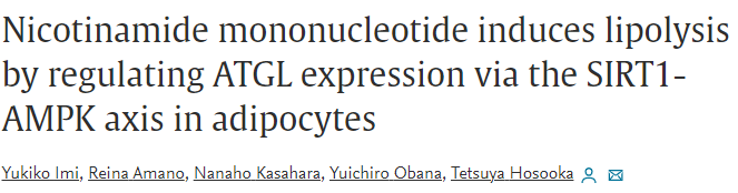 Nicotinamide mononucleotide induces lipolysisby regulating ATGL expression via the SIRT1-AMPK axis in adipocytes