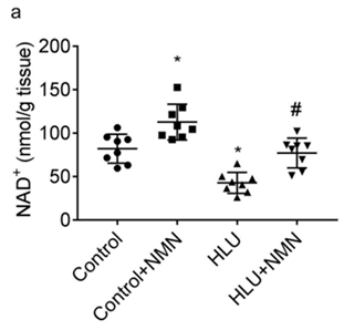 NMN supplements bone NAD+ under spaceflight microgravity conditions