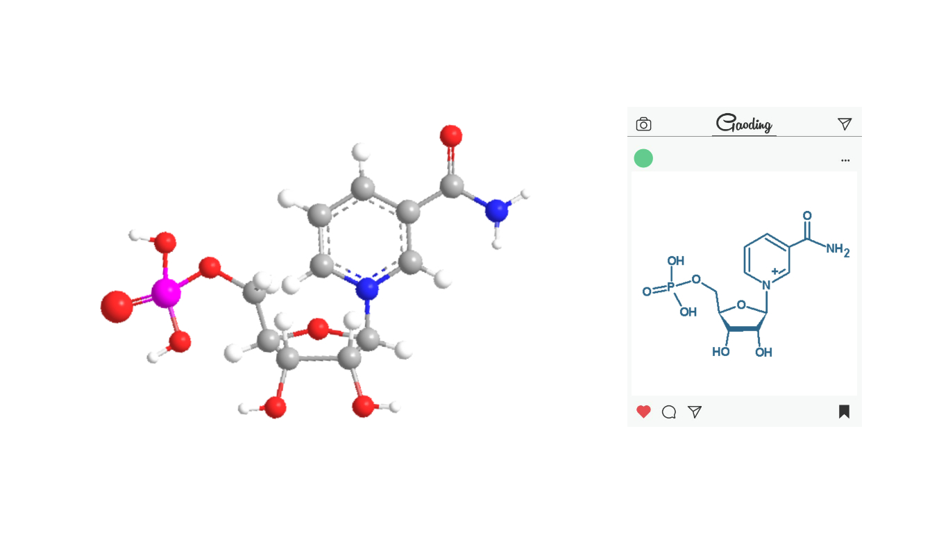 Molecular formula