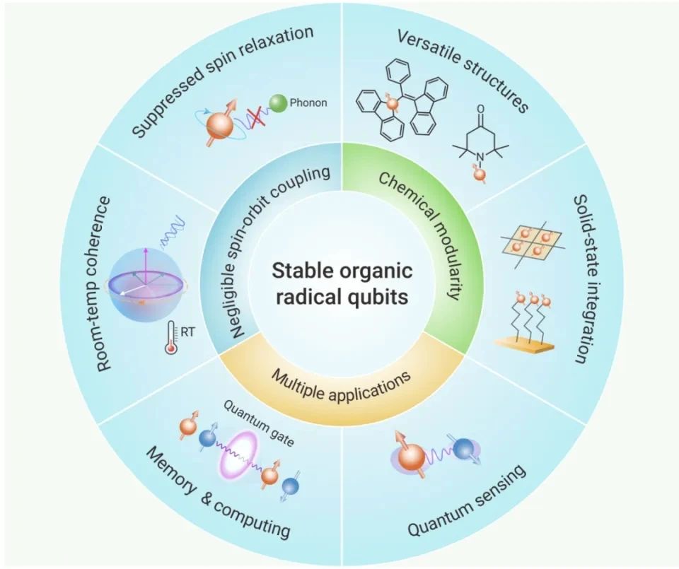 Stable organic radical qubits
