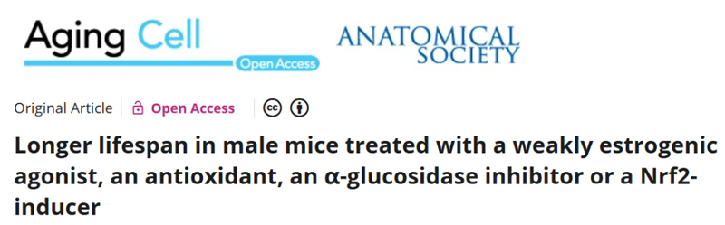 Longer lifespan in male mice treated with a weakly estrogenic agonist, an antioxidant, an a-glucosidase inhibitor or a Nrf2- inducer