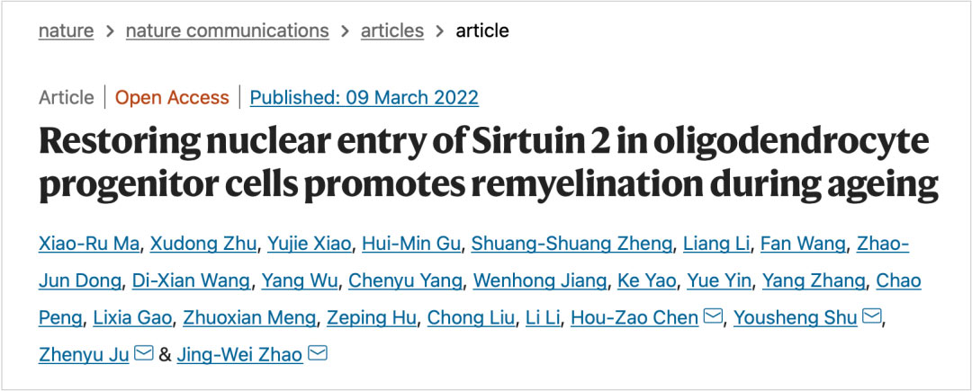 Restoringnuclear entryofSirtuin 2 in oligodendrocyte progenitor cells promotes remyelination during ageing